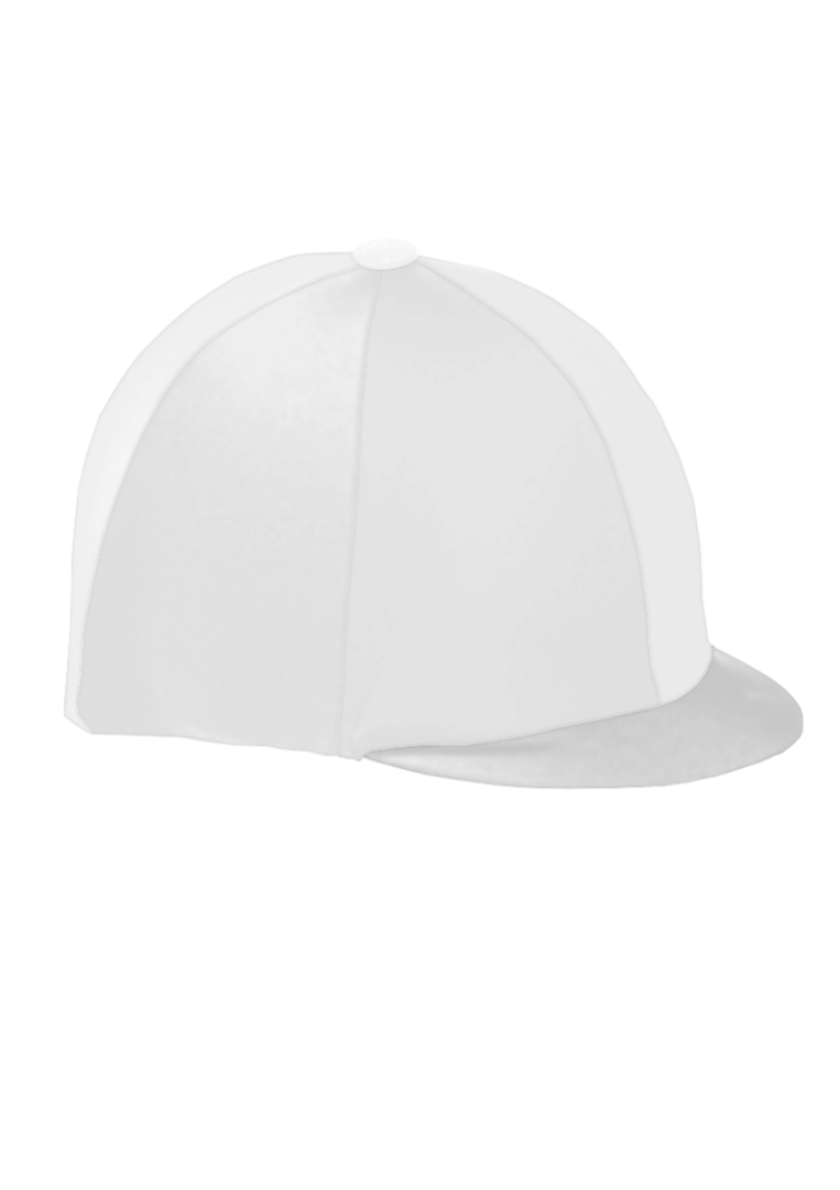 Hat Silk x6 Panels